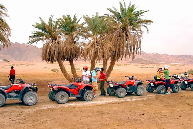 Morning Quad Bike Desert Safari with Transfers