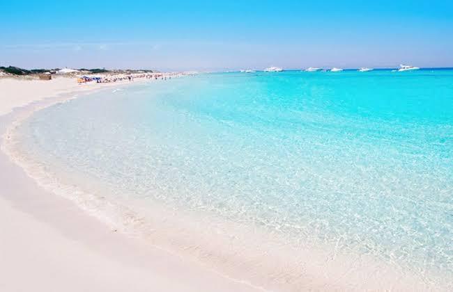 Sharm El Luli Beach Trip